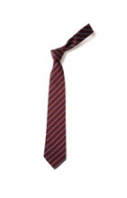 St Marys Junior Tie